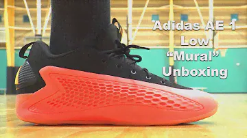 Adidas AE 1 Low "Mural" Unboxing and Performance Preview